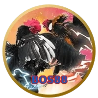 BOS88