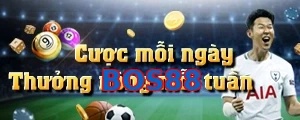 BOS88